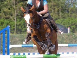 IMG-0683_web